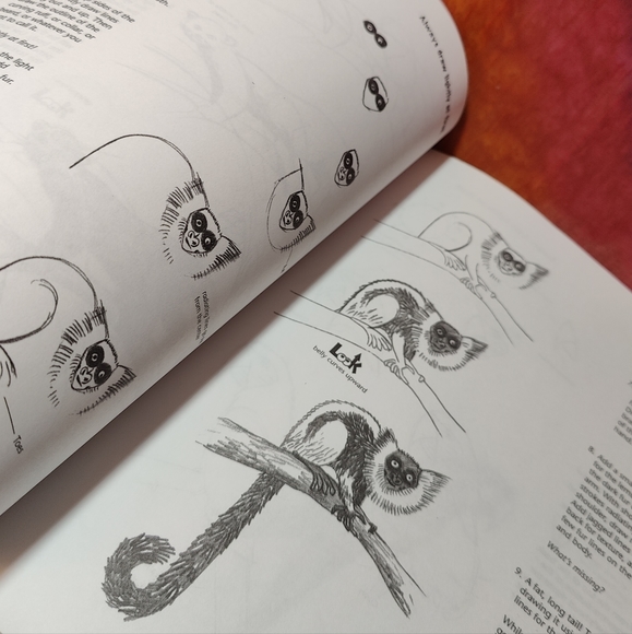 *DRAW RAINFOREST ANIMALS Scholastic Book - Picture 5 of 6